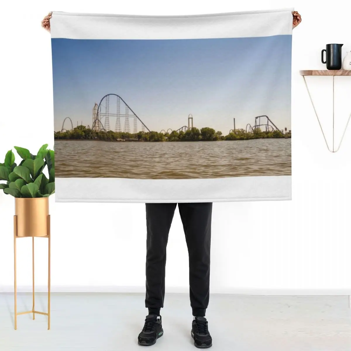 A Cedar Point panoramic Throw Blanket couch cozy soft plush fuzzy picnic outdoor blanket