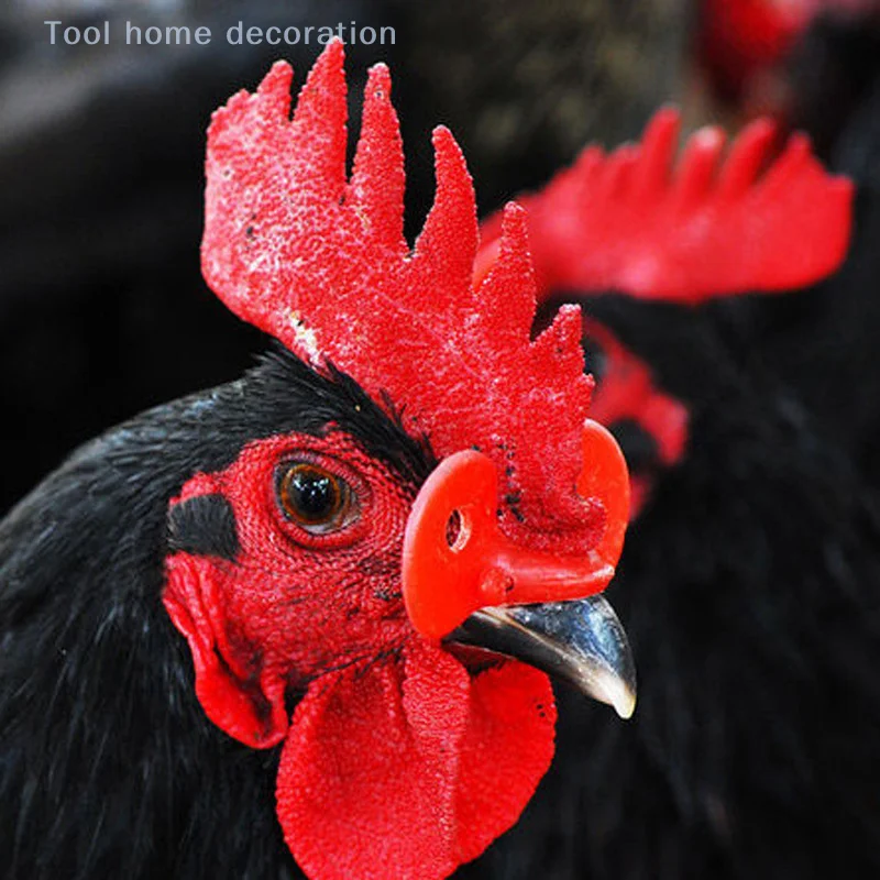 Accesorios para granja de gallinas: 50 sombras de faisán anti-peck en plástico rojo, con pernos, equipo de protección para aves de corral