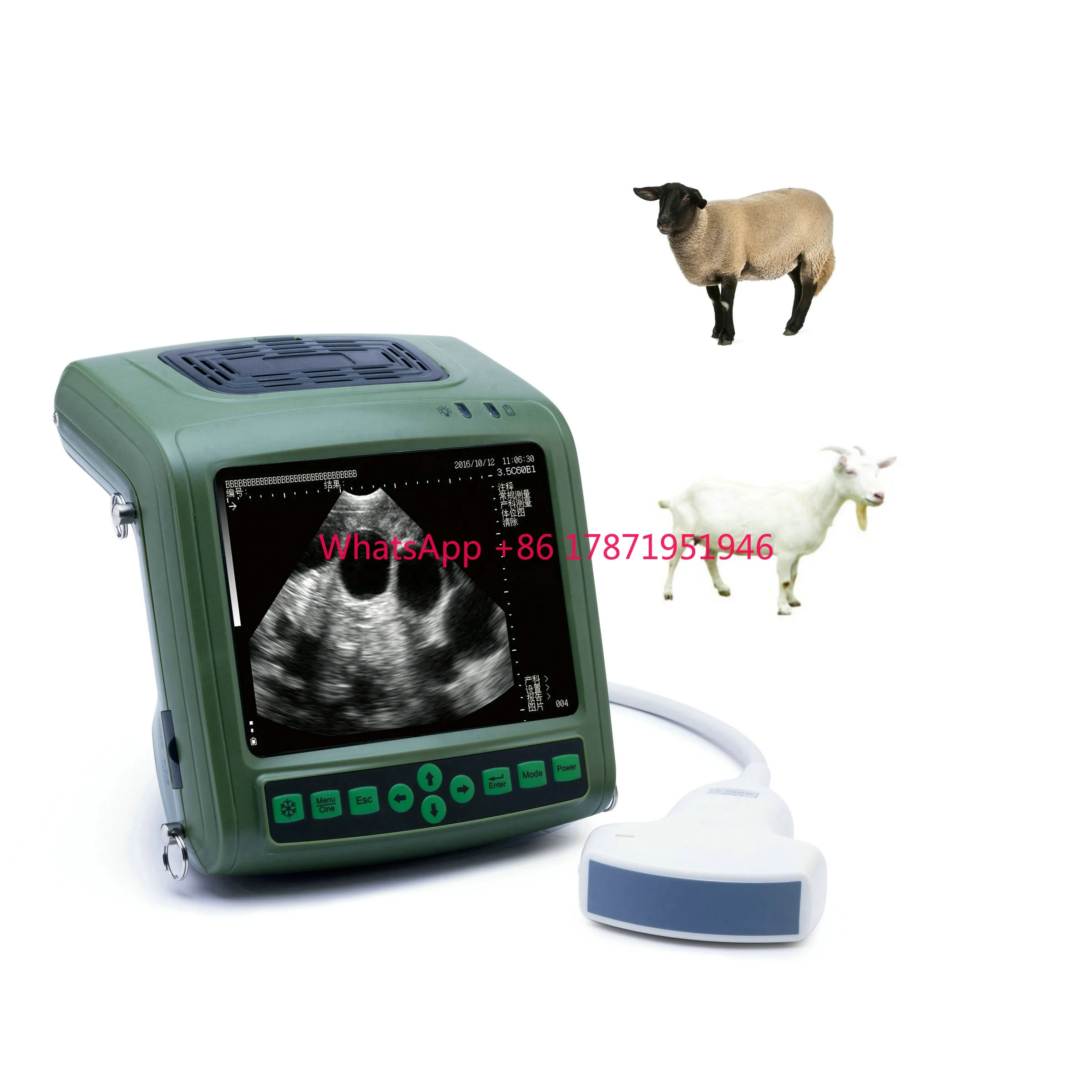 

Handheld cheap portable veterinary instrument ultrasound probe pig ultrasound scanner