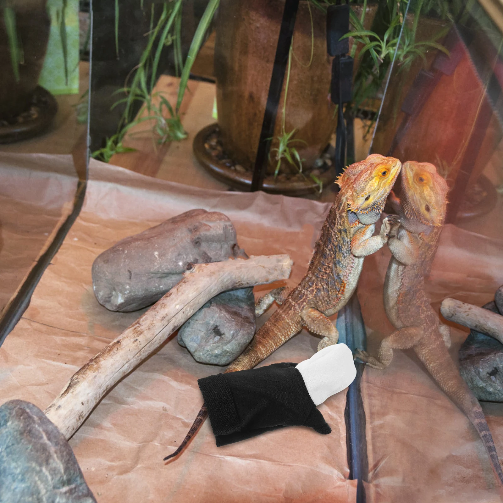 

Bearded Dragon Hoodie Lightweight Breathable Pet Lizard Clothing for Outdoor Adventures Easy Clean Reptile Fashion Gear