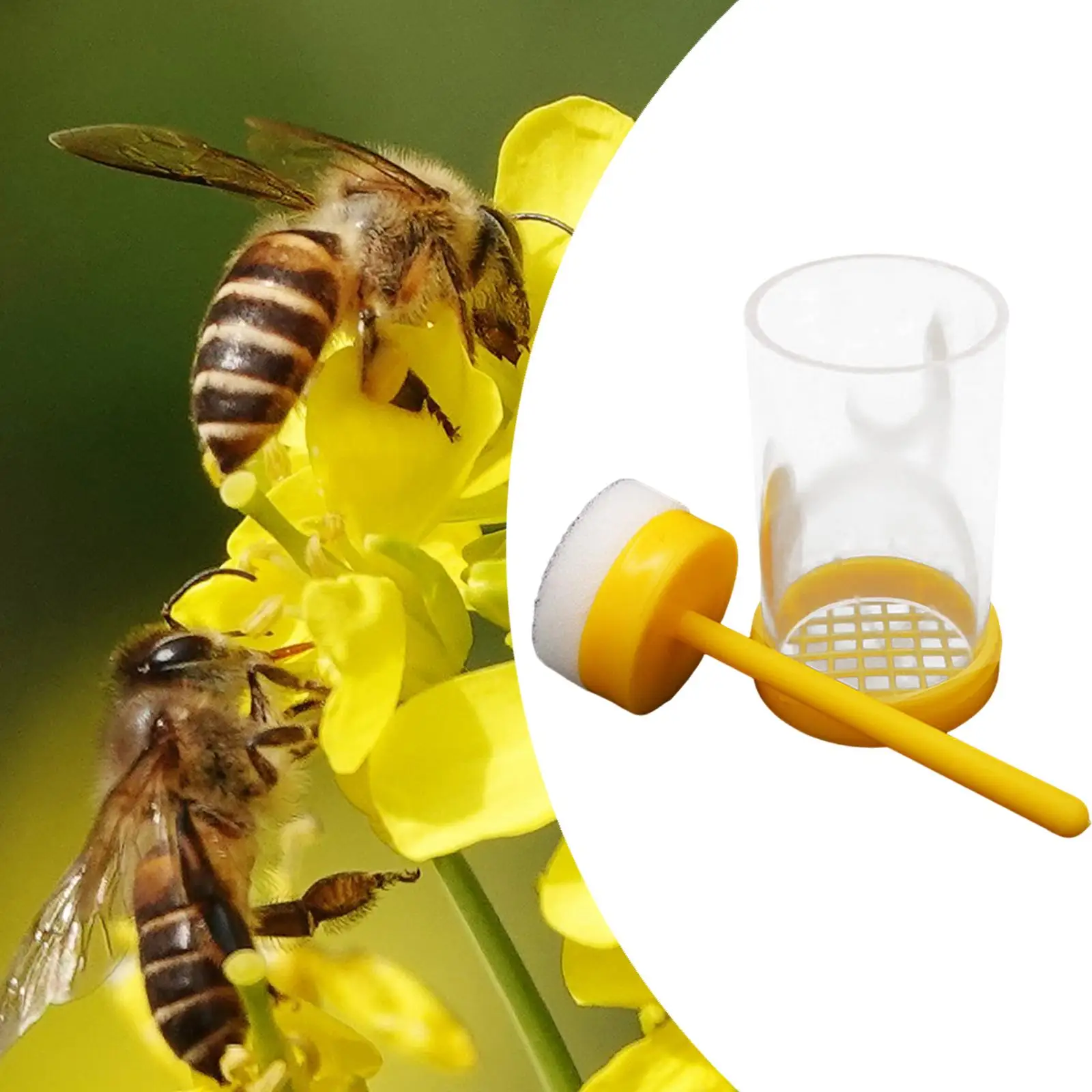 Queen Bee Marking Cage Plunger Type Beekeeper Tool for Accurate Queen Identification in Hive Inspection