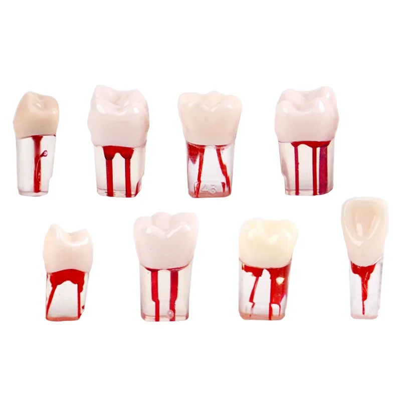 5/8pcs Dental Teeth Model Endodontic Root Canal Block RCT Pulp Cavity Dentistry Replace Resin Teeth Endo Training Block