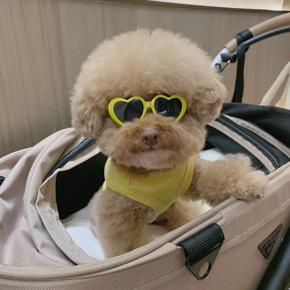 Pet Fashion Glasses Sunglasses for Dogs Cats Dog Photo Props Sunshade Sunglasses Dog Goggles Dog Cat Accessories Pet Products