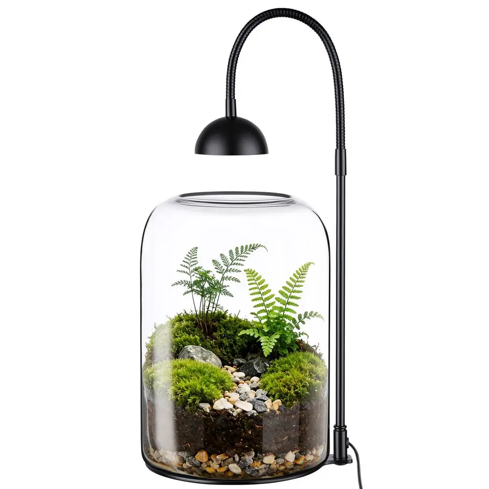 

Террариум для растений с LED-подсветкой и регулируемой вентиляцией, настольный террариум 8.2 для ловушек для мух Венеры, мха и суккулентов, B