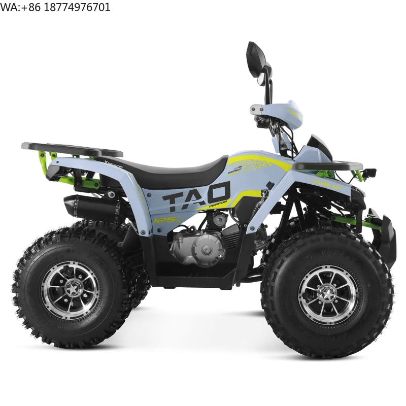 Tao Motor 2025 New Alloy Rim Chain Drive Automatic 1+1 125cc ATV Chinese Cheap Farm ATV 125