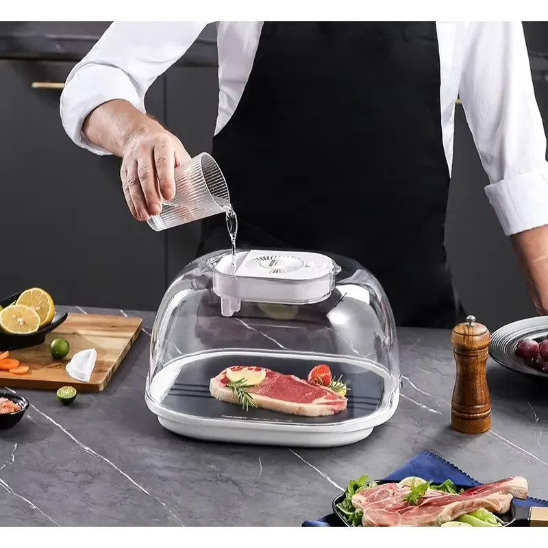 Multifunctional Electric Stainless Steel Defroster Plate for Thawing Frozen Meat and Food Large Size Household Defrosting