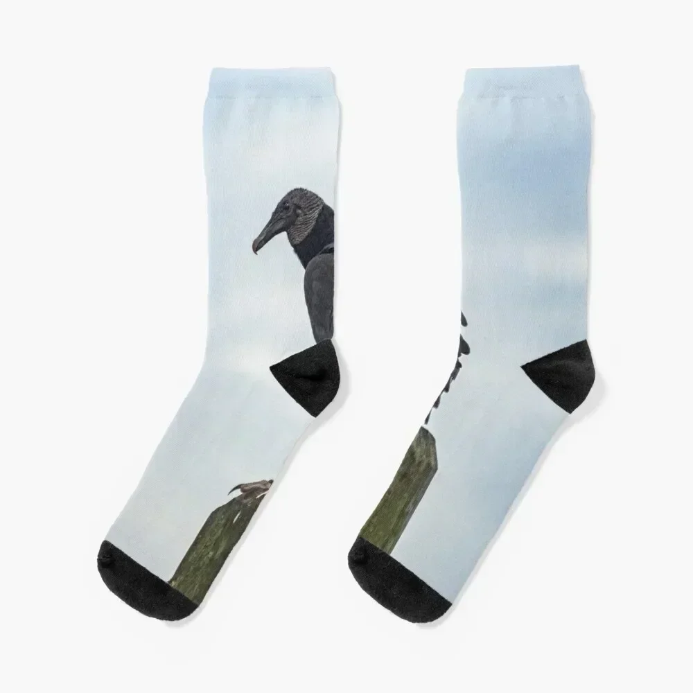 

Turkey Vulture in Calabash Socks Soccer sports stockings designer Socks Man Women's