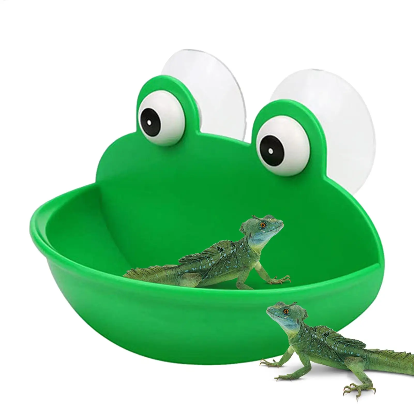 Frog Habitat Frog H…