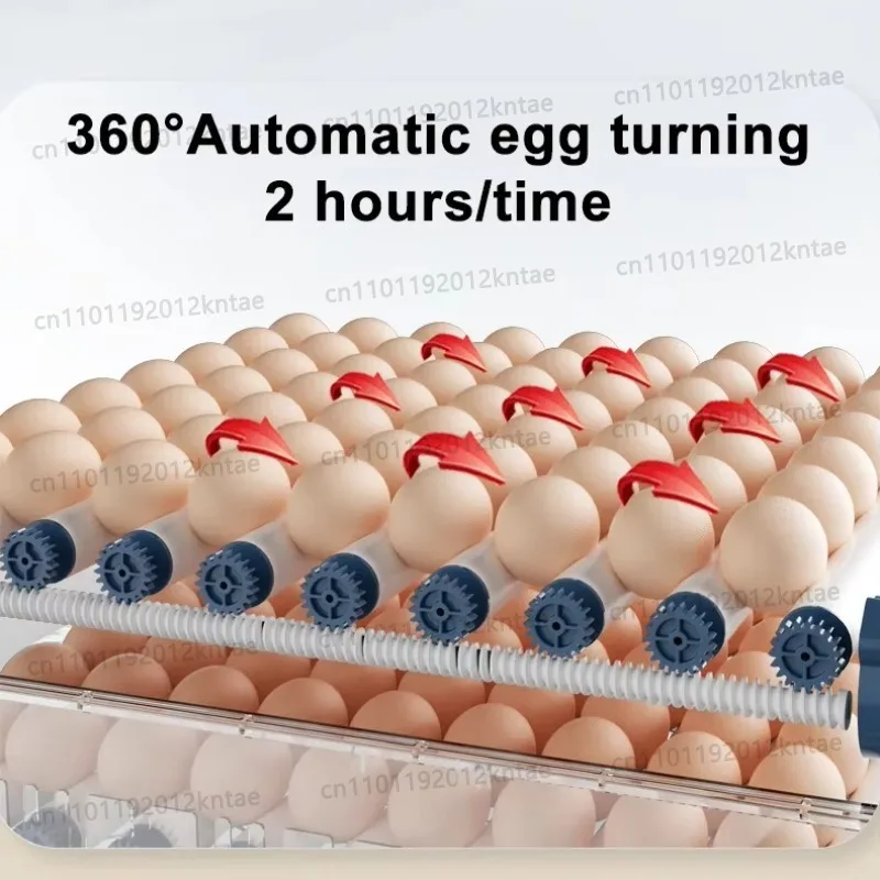 Household Automatic Intelligent Incubator High Hatching Rate 6~192 Eggs Breeding Incubator for Ostrich Chicken Duck