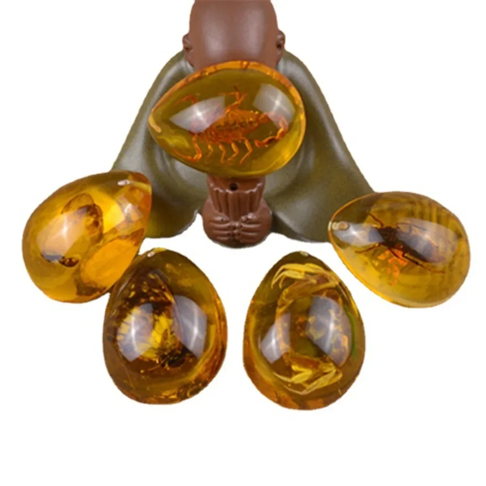 DIY مجوهرات الحرفية قلادة العنبر حجر العنبر كراب الحشرات Spcimen قلادة العقرب النمل قلادة الأحجار الكريمة قلادة الرجال