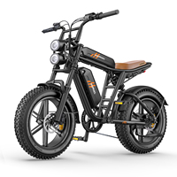 ENGWE Milezoom 1 Electric Bike 20'' Fat Tire, 250W Motor, 260KM Max Range, Dual Battery (1664), Hydraulic Brakes, Urban/Mountain