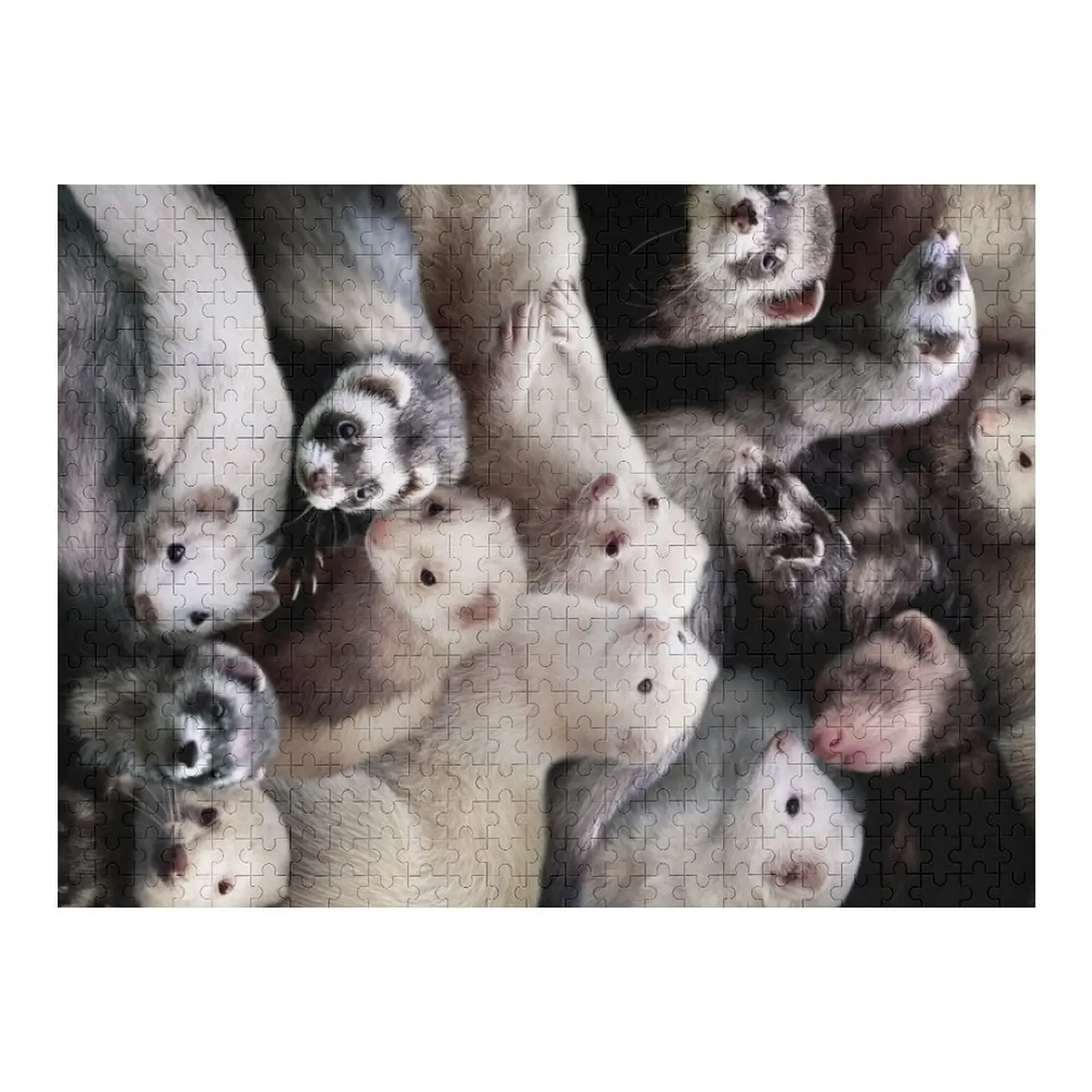 

Ferrets Jigsaw Puzzle Wooden Boxes Personalized Toys Wooden Animal Puzzle