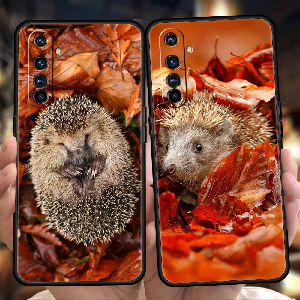 Hedgehog In The Fog Phone Case for Realme 8 9 Pro Plus 8i 9i 6 7 GT2 C21 C25 C3 C11 11 Pro 5G Plus Shockproof Silicone Shell Bag