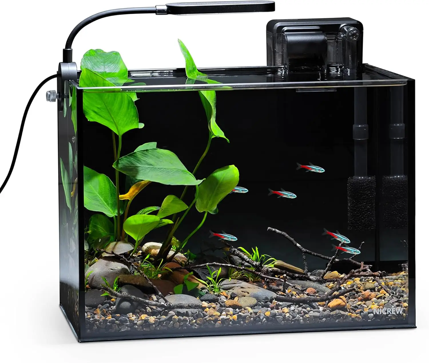 

Ultra-Clear Rimless Desktop Aquarium Kit with Light, Filter, Gravel & Rock for Small Fish, Shrimp or Betta