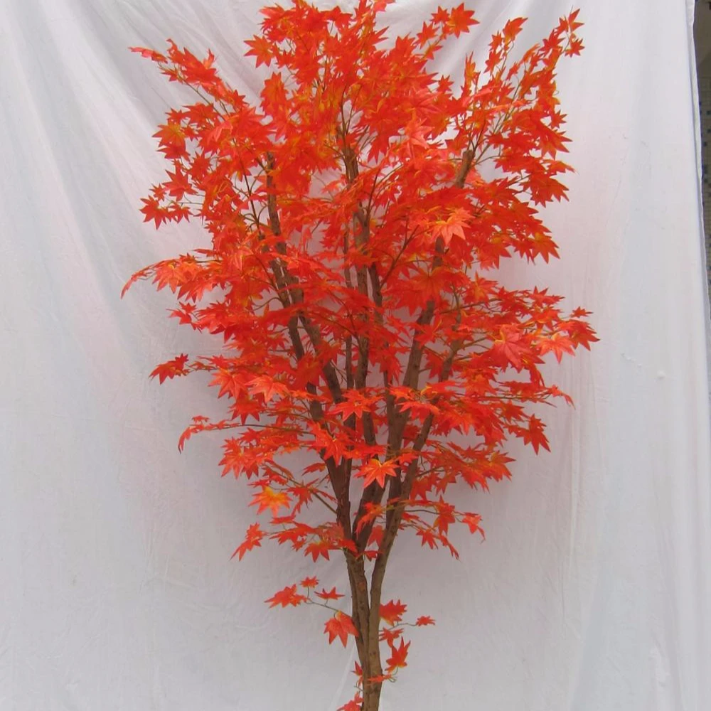 

landscaping maple trees bonsai handmade maple trees with red leaves for sale