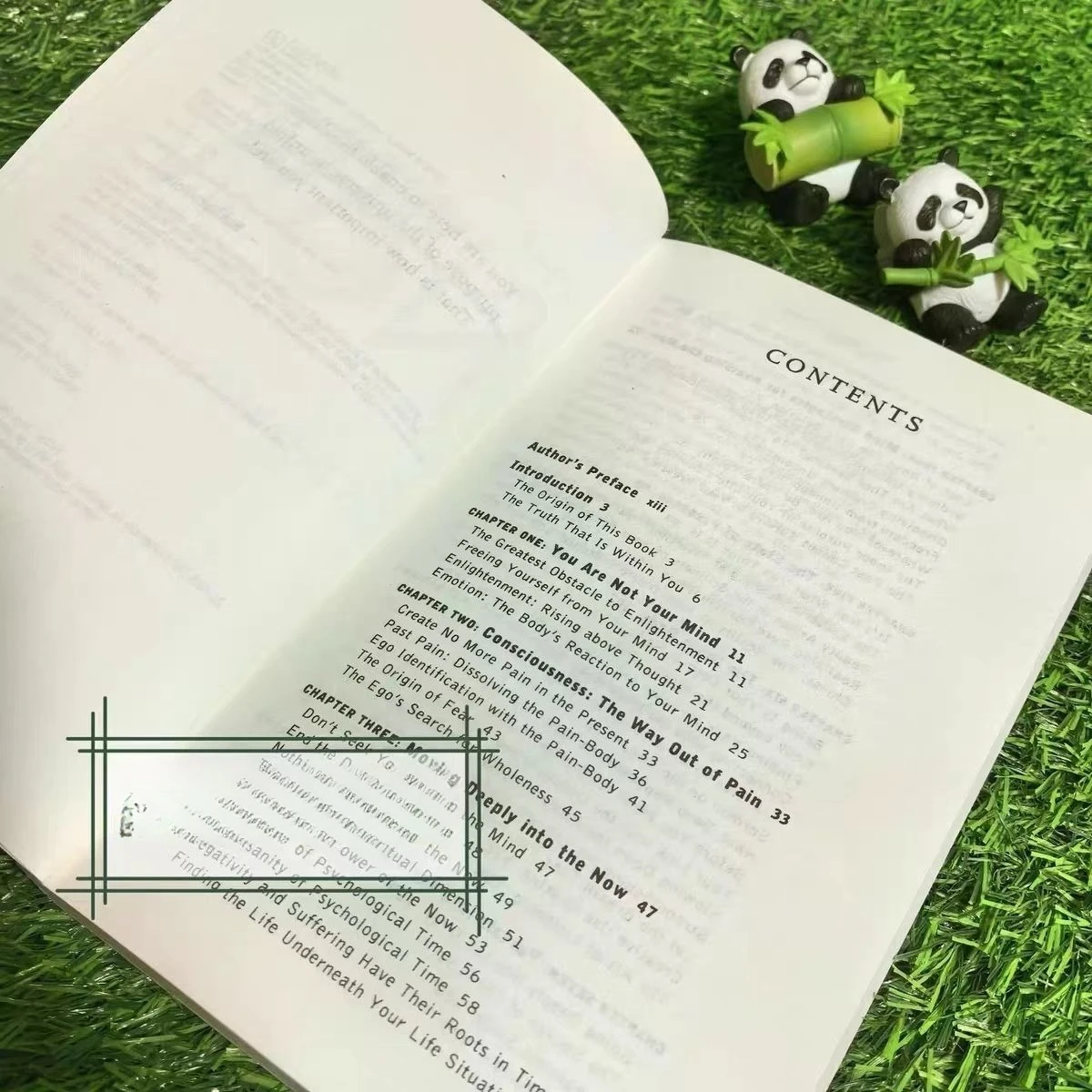 قوة اللحظة هي Eckhart Tolle وZhang Defen. Libros الكتب الإنجليزية كتب فلسفيا كتاب فلسفة كتاب كتاب Libro كتاب #5