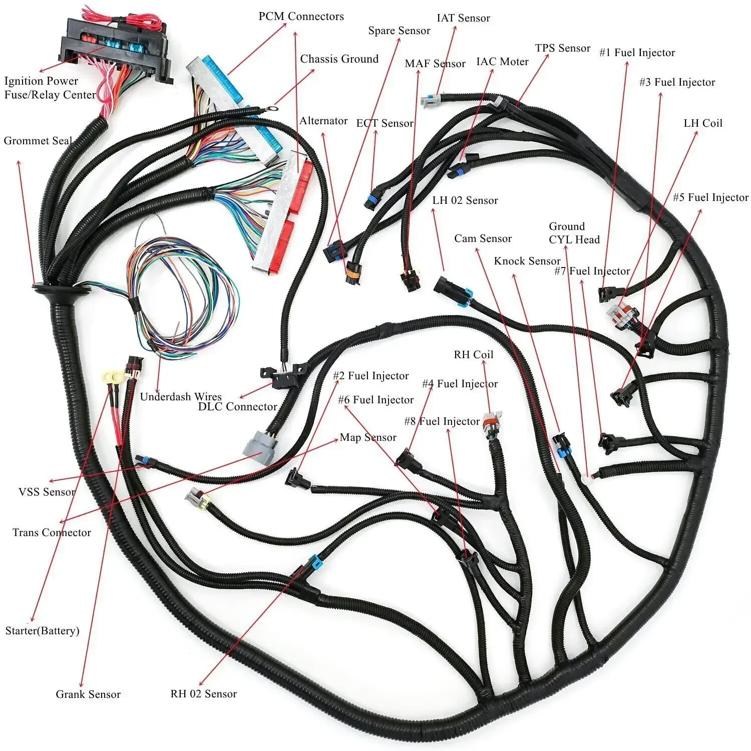 4L60E Stand Alone Wiring Harness For 97-06 LS LS1 4.8 5.3 6.0 Drive by Cable DBC Car Accessories