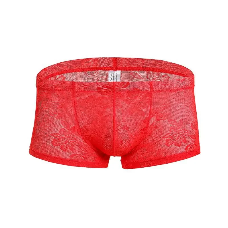 Lace Underwear Men Sexy See Through Panties Boxers Penis Pouch Mesh Transparent Underpants Boxer Shorts