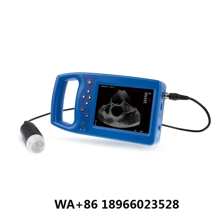 Machine Veterinary Ultrasound Veterinary Scanning B-Ultrasound Instrument