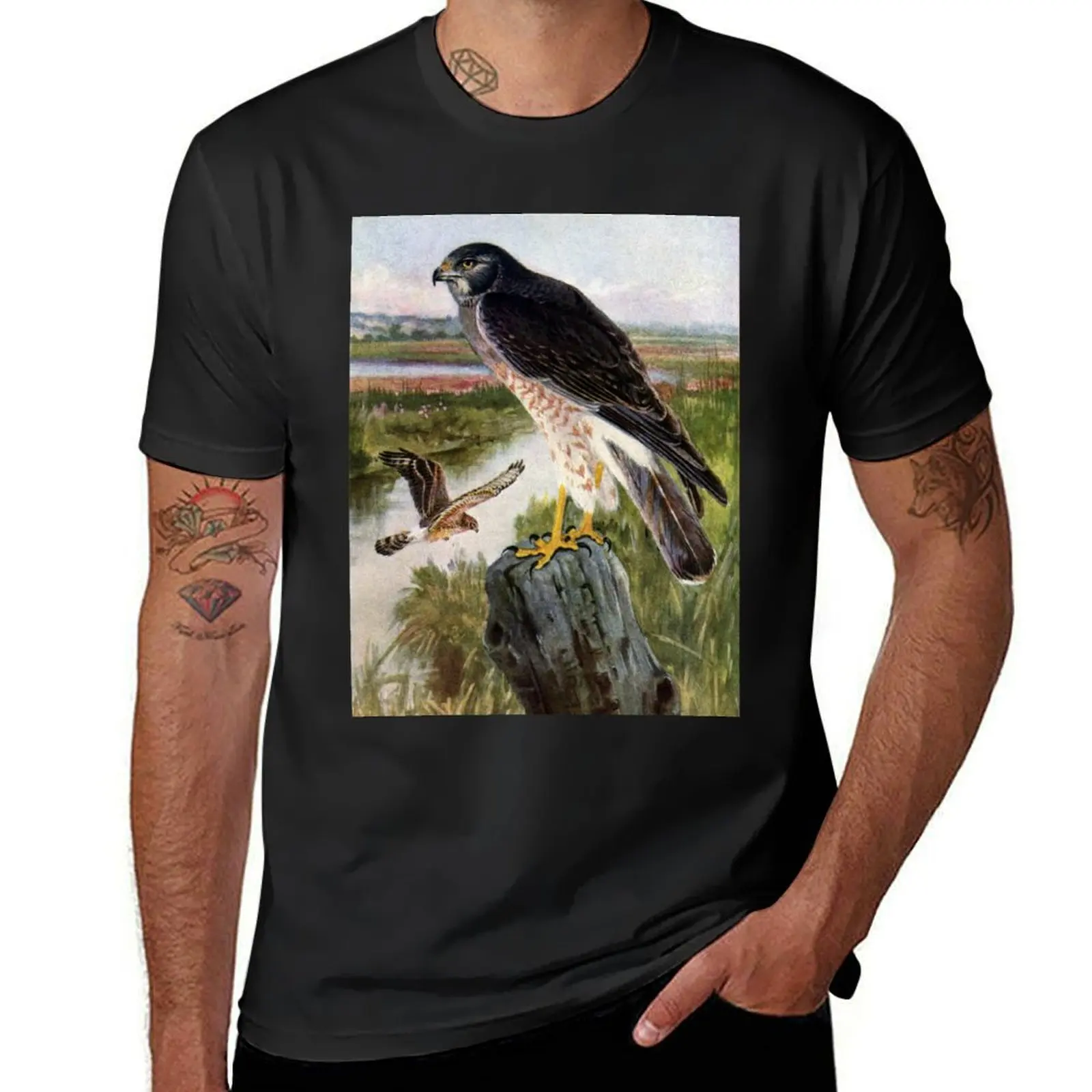 Marsh Hawk in Wetlands T-Shirt cute tops cute clothes mens big and tall t shirts