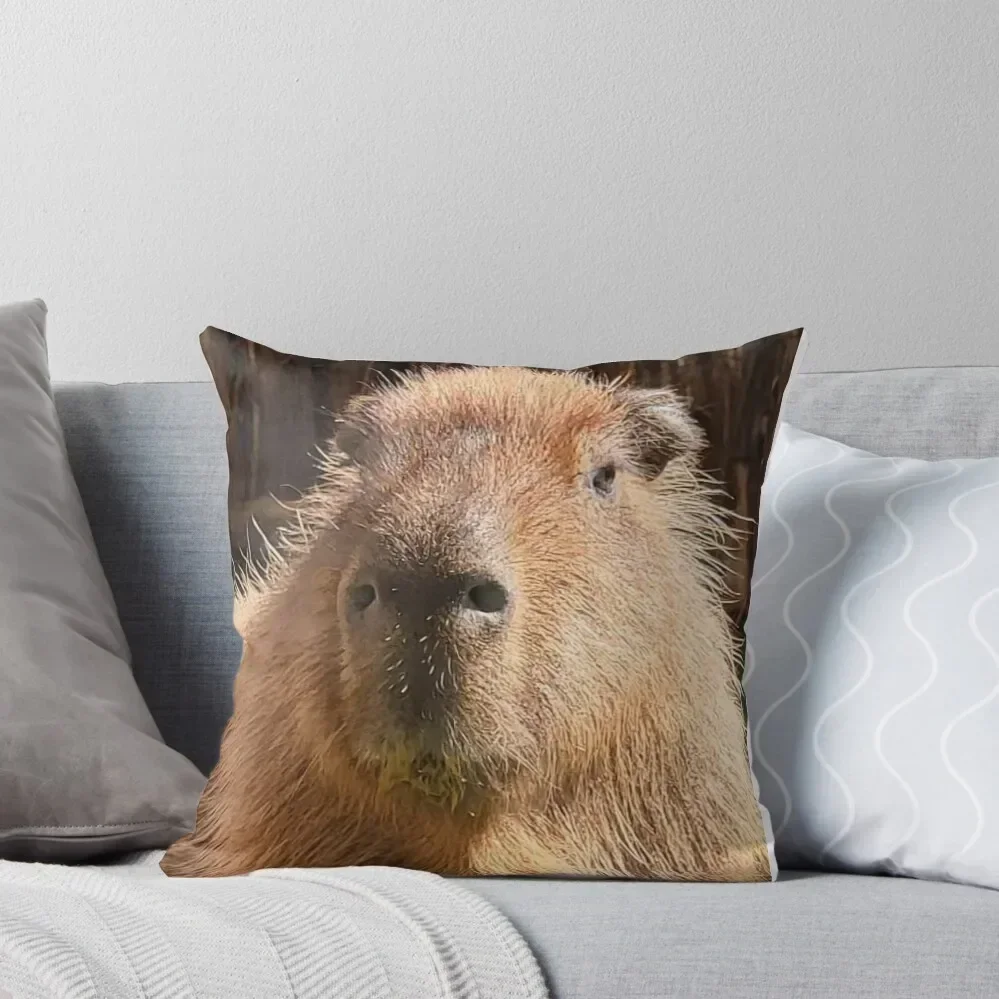 

Capybara Throw Pillow pillow cover christmas sleeping pillows Sofa Covers For Living Room Pillowcases For Pillows pillow
