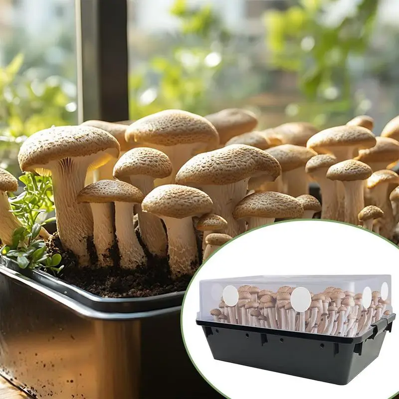 24pcs Monotub Adhesive Filter Disks Monotub Filters for Mushroom Growing Supplies Filter Pad Replacements