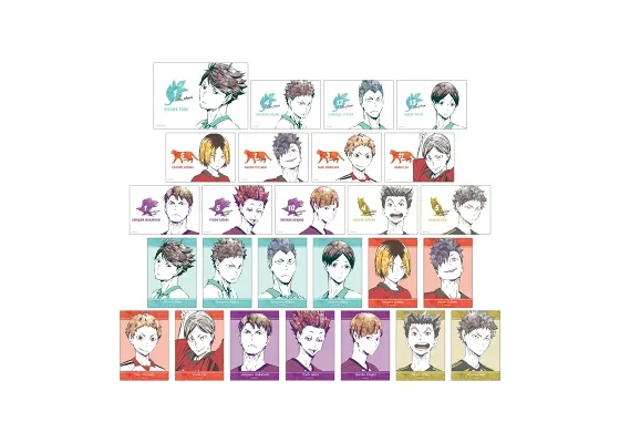 Japan Armabianca Goods Haikyu Exchange Type Ani Art Series One