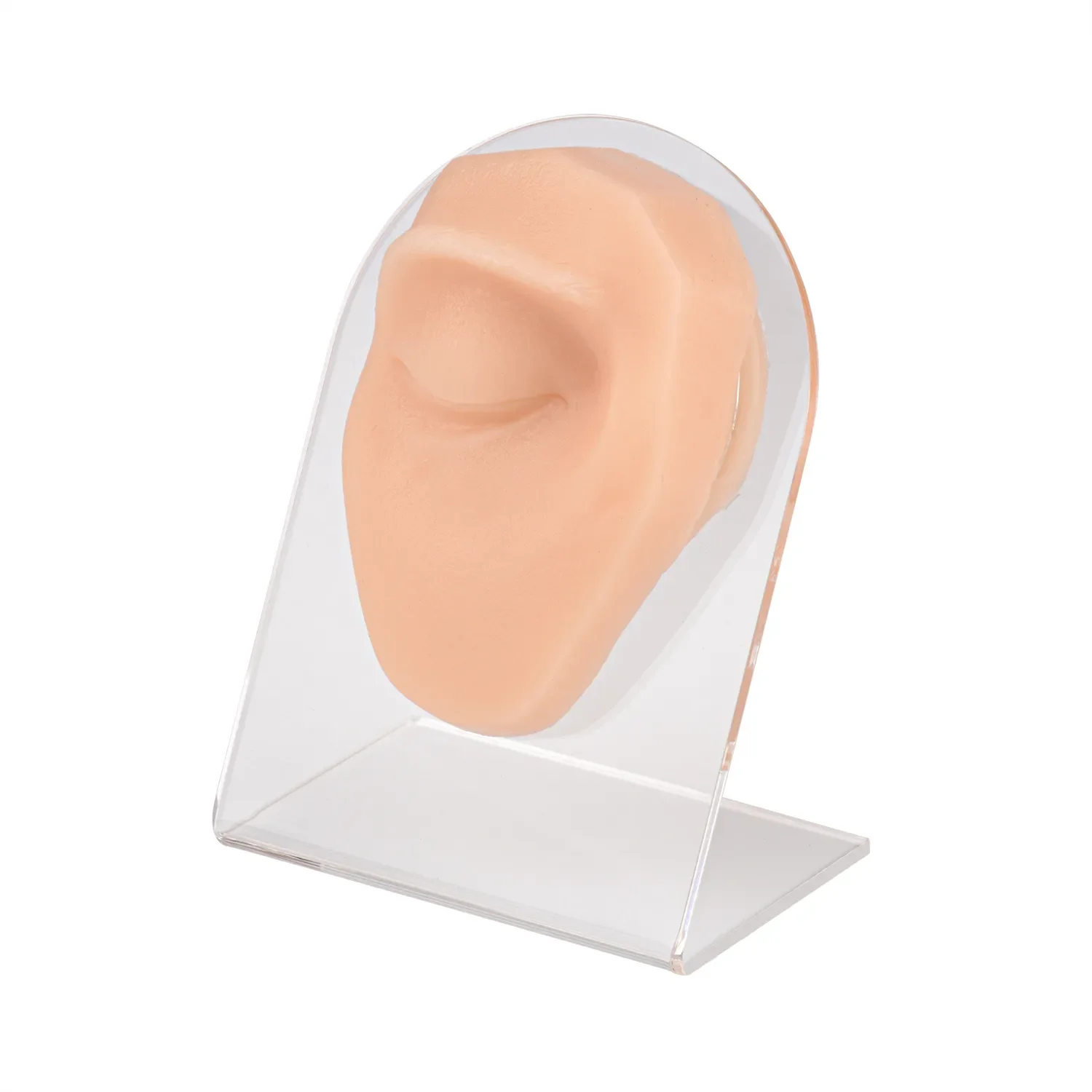 Ultrassist Silicone Eye Model for Eyebrow Piercing & Jewelry Display