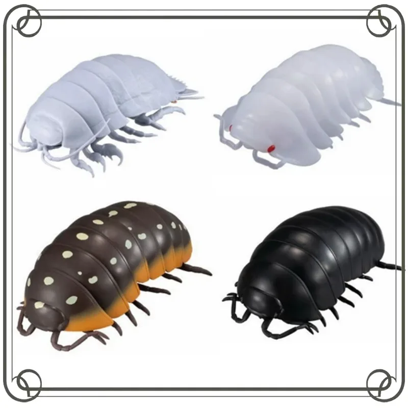 Biologische Enzyklopädie Porceeio Laevis Gashapon Insekten-Serie Sammlerstück Ornament Actionfigur Modell Spielzeug