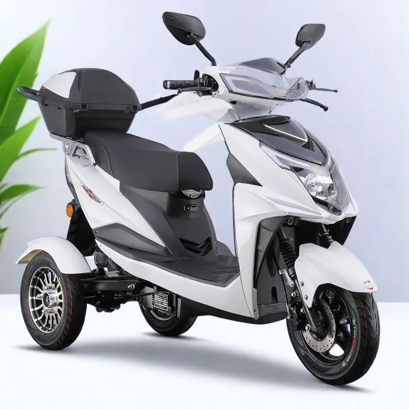 

48/60V Lithium or Lead Acid Battery Multifunctional Electric Vehicle Tricycle Teen Student Young Female Worker