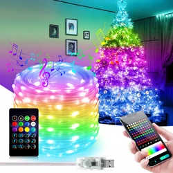 10M 20M 25M 50M Smart RGBIC Dreamcolor listwy Led wróżka łańcuchy świetlne 5V USB 10LEDs/m sterowanie Bluetooth oświetlenie bożonarodzeniowe wystrój