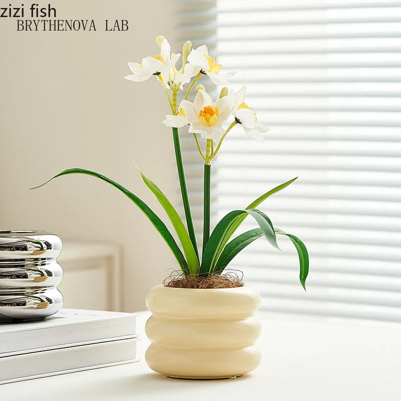 Solid Color Creative Donut Ceramic Flower Pot Tabletop Ceramic Ware Flower Green Plant Succulent Vessel Aesthetic Decoration
