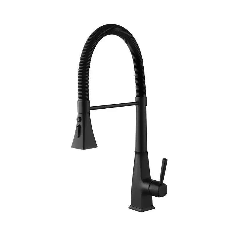 

Pull Down Kitchen Faucet with Sprayer, Adjustable Nozzle, Easy Installation, Durable Finish, Modern Design