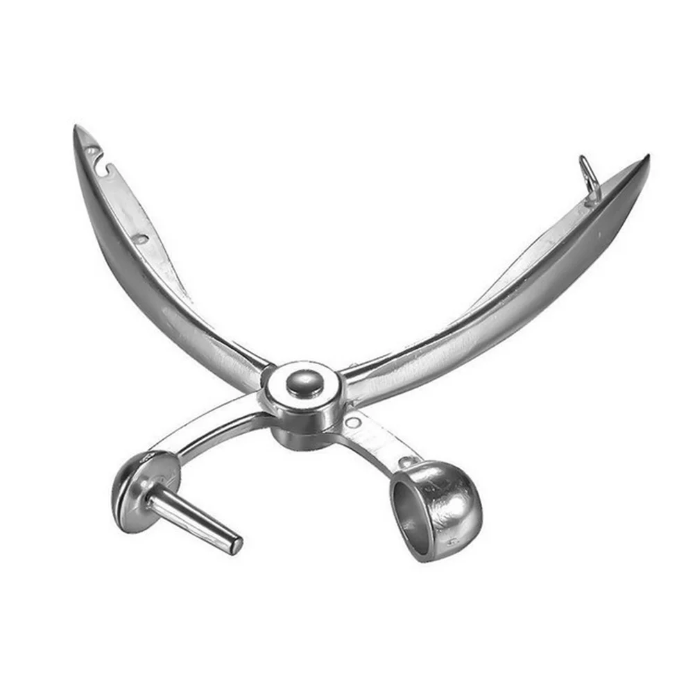 

Cherry Tool De-Seeding For Olives Dates Ranier Cherries Kitchen Gadget Fruit Cherry Pitter Olive Pitter