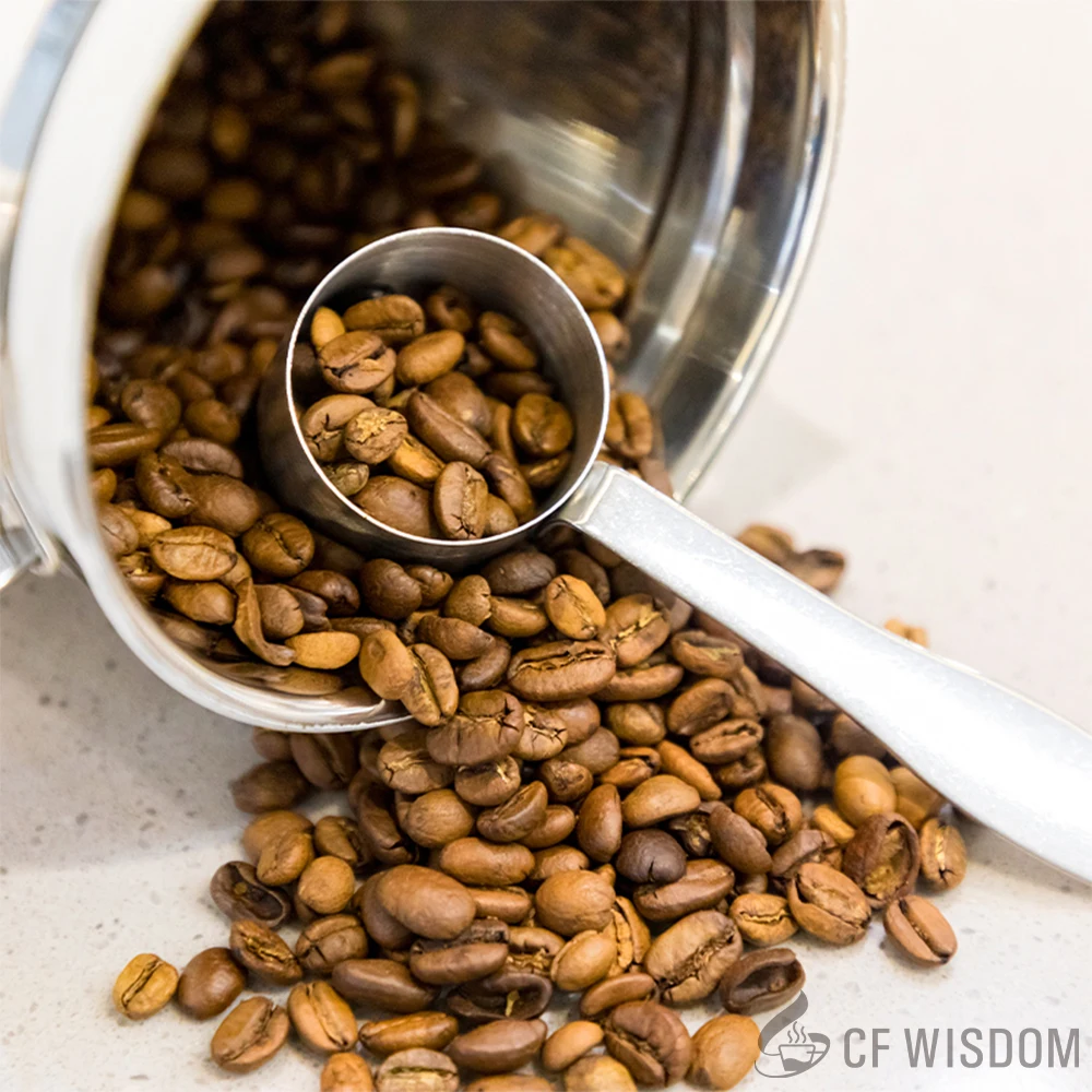 Toples Tertutup Kopi CF WISDOM, Toples Tertutup Baja Tahan Karat, Wadah Penyimpanan Makanan dengan Sendok, Wadah Biji Kopi, 1,5L