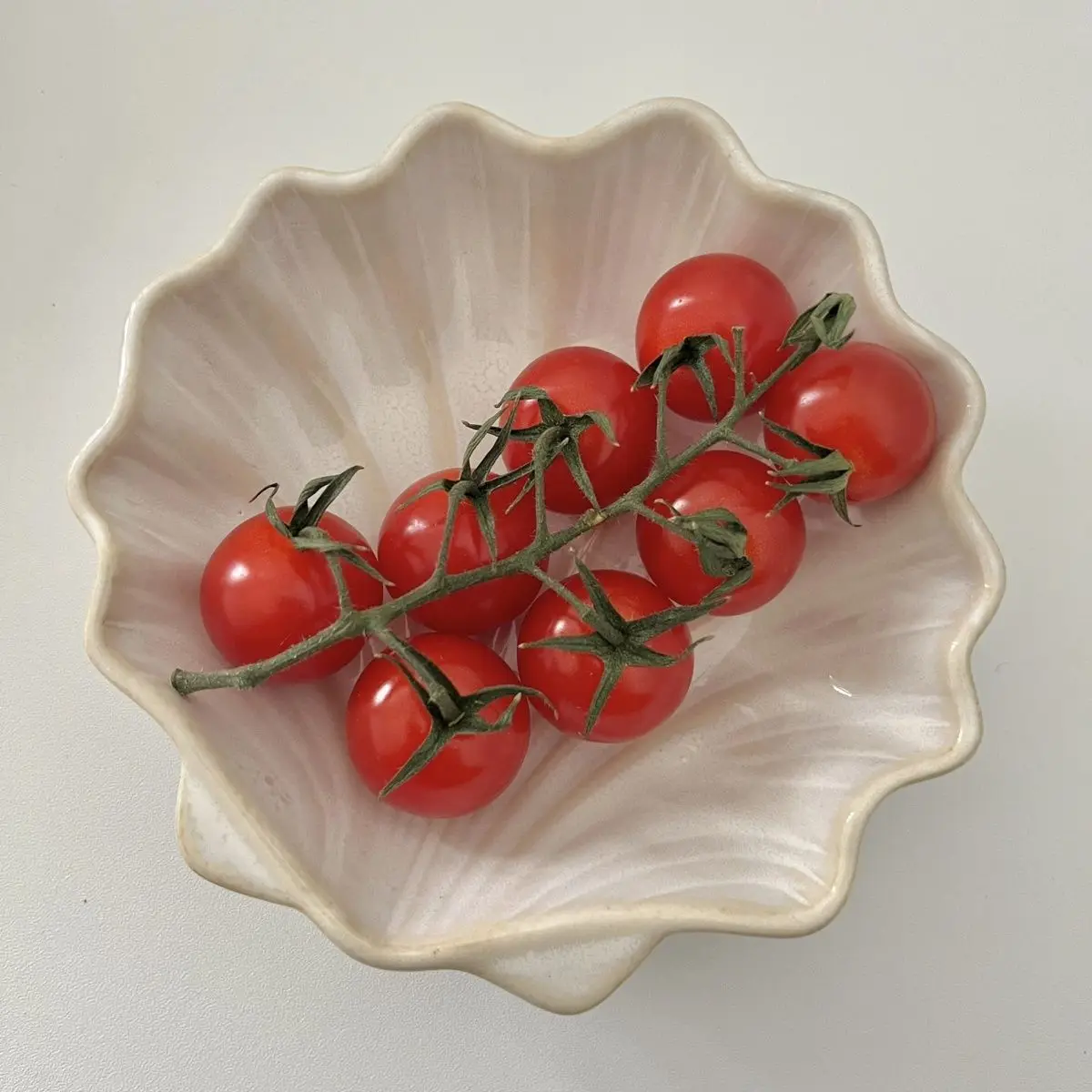 Ins Retro Kiln-transformed Breakfast Ceramic Shells Sea Scallops Fruits Desserts Salad Dressings Condiments and Bowls