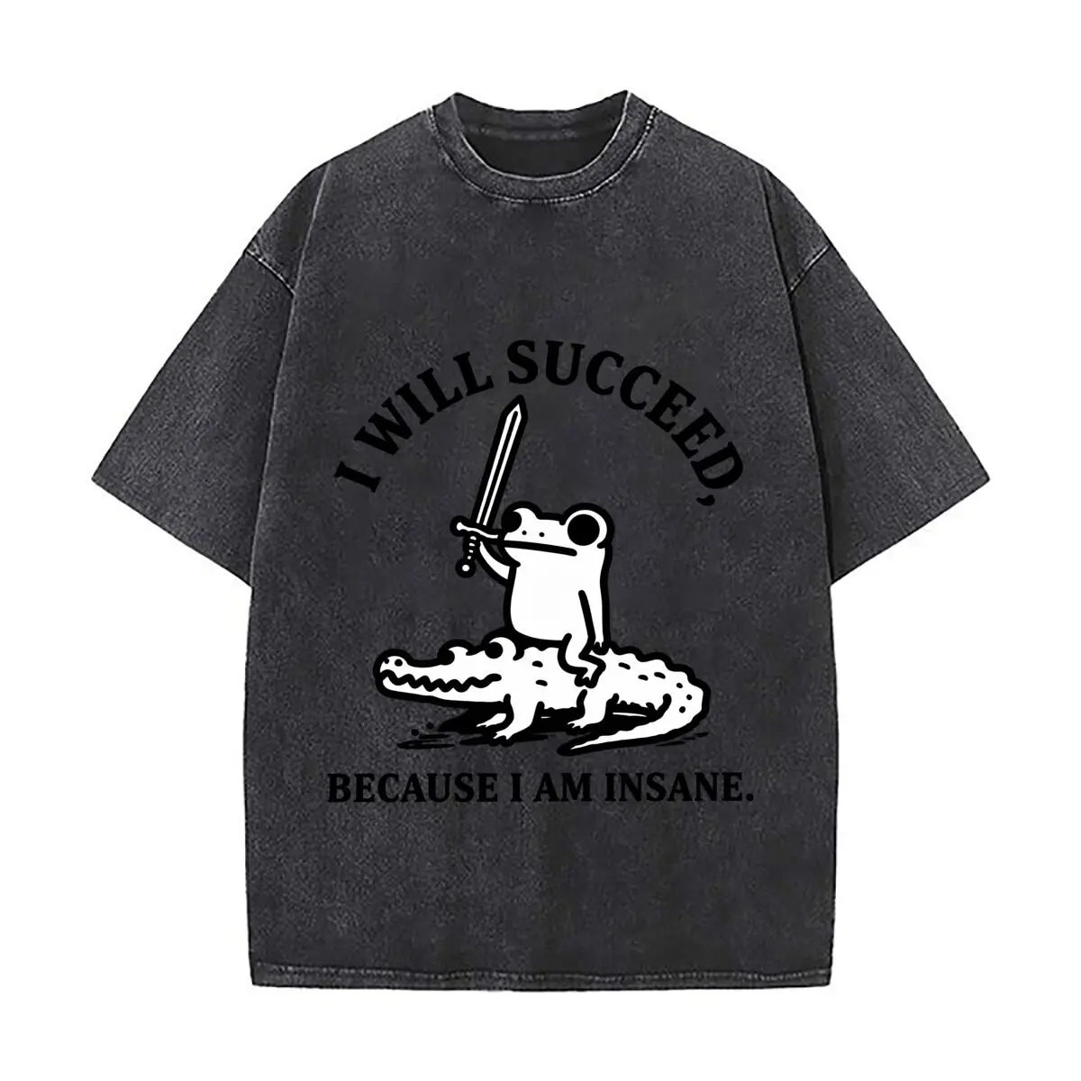 I Will Succeed Because I Am Insane Frog Crocodile Sword Washed Short Sleeve Loose Streetwear Tee Hip Hop