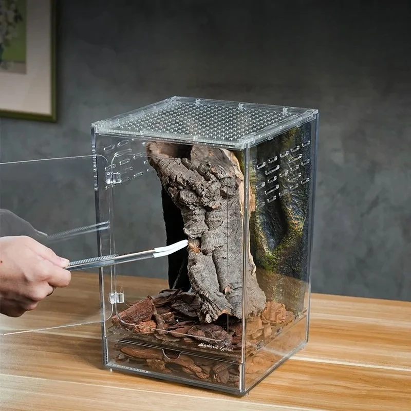 

Tree Frog Acrylic Glass Pet Snake Terrarium Landscaping Gecko Front-Opening Climbing Tank