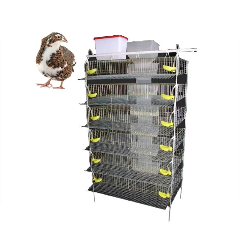 6-Layer egg quail cage for egg production