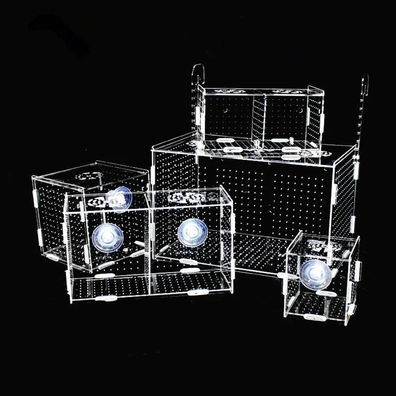 Ornamental Fish Breeding Isolation Box Fish Tank Aquarium Incubator Transparent Acrylic Single Grid Double Grid Accessories