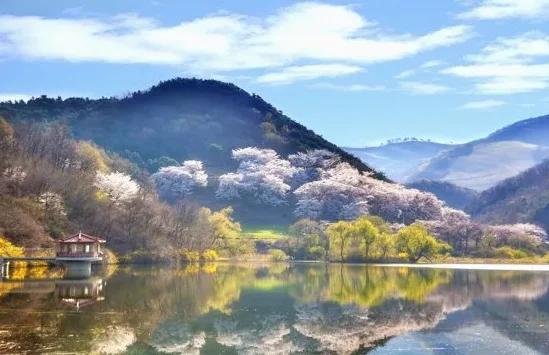 

HAKRC F405 V2 MINI Flight Controller ICM42688 With Barometer Gyroscope Dual BEC 5V/3A 9V/2.5A for RC FPV Racing Freestyle Drone