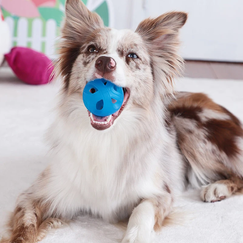 GiGwi Pet Toys Xuanfeng Ball Series Interactive Dog Ball Dog Toys Squeaky Balls Bouncy Assorted Colors for Small/Medium Dogs