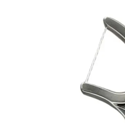 Reusable Stainless Steel Floss Pick With Keychain Loop, Metal Dental Care Tool For Travel And Home, Eco-Friendly= Teeth Cleaner