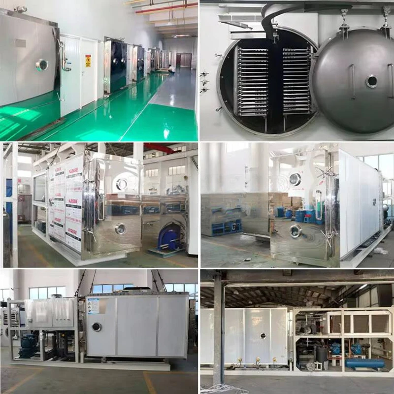 Commercial Dried Small Freeze Food Dryer Household Deer Antler, Silver Ear, Bird's Nest, Chinese Herbal Medicine Freeze-drying