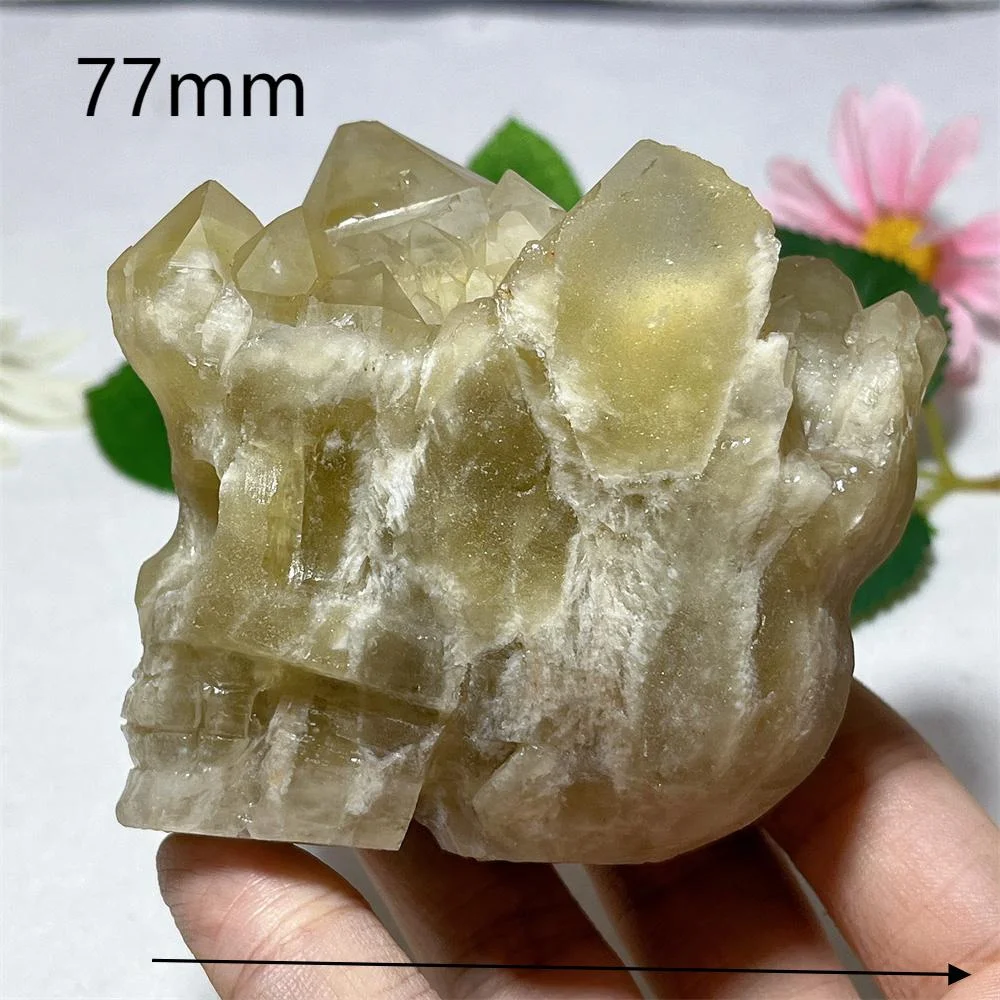 Citrine Cluster Skull Specimen Raw Stone Quatrz Cluster Feng Shui Energy Mineral Meditation Healing Gem Home Decoration