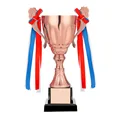 Bronze without Lid