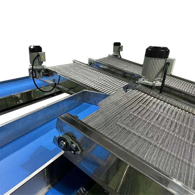Stainless Steel Mesh Belt Conveyor Sus304 Stainless Steel Conveyors for Bread Noodles Cookies or Dough Food Grade Belt Conveyor