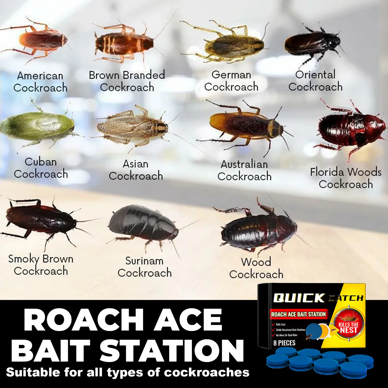 Cockroach Medicament Cockroach Killing Glue Decoy Household Cockroach Killing Kitchen Cockroach Stickers Six Pcs