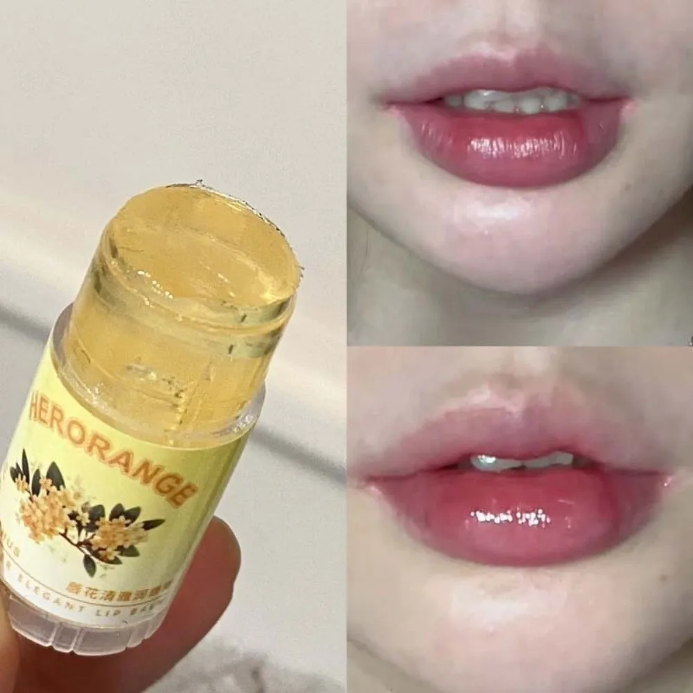 New Transparent Lip Balm Long-lasting Moisturizing Non-Fading Lip Care Gloss Shimmer Lipstick Beauty Tool
