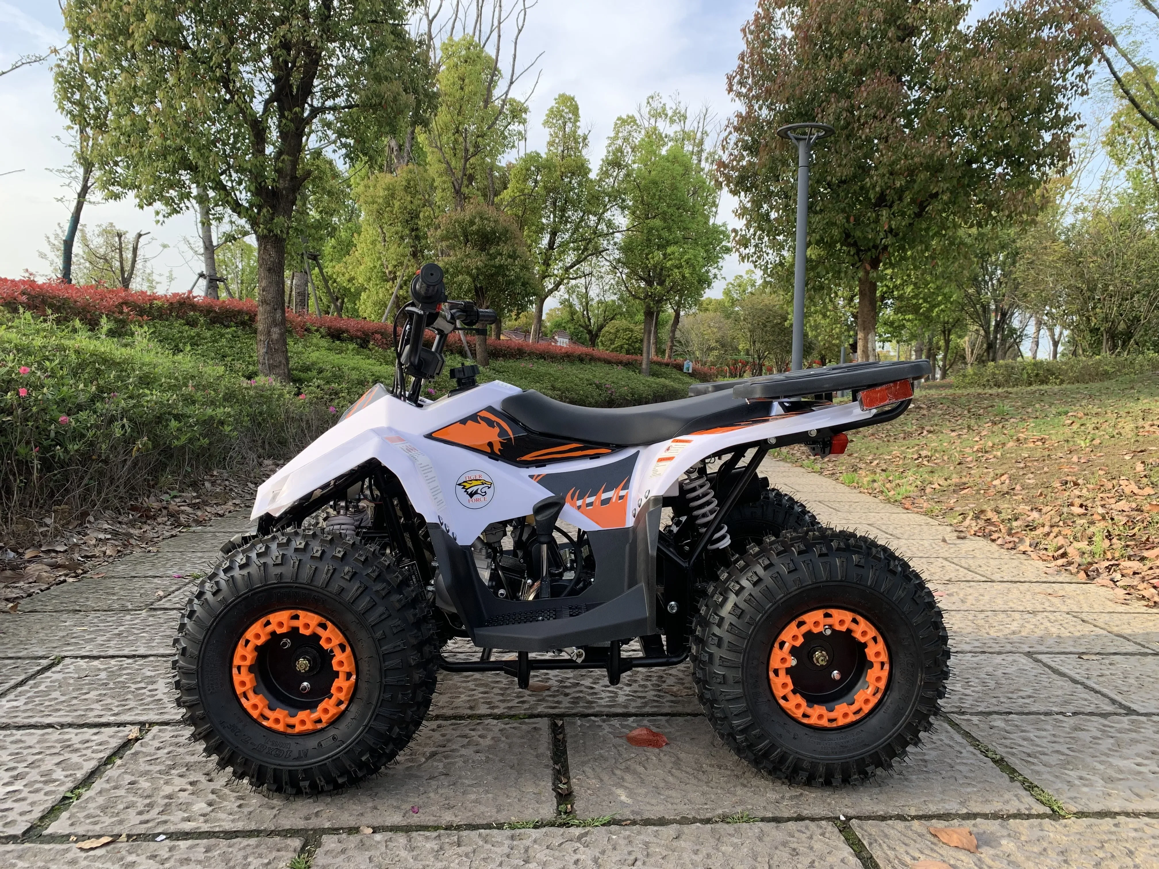 Jinling quads ATV alimentados a gás 110cc para crianças